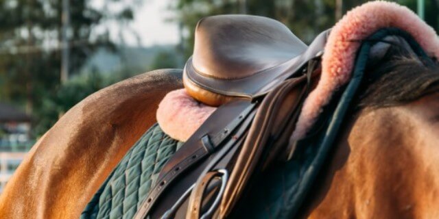 La imagen tiene un atributo ALT vacío; su nombre de archivo es montura-caballos-doma-clasica.jpg