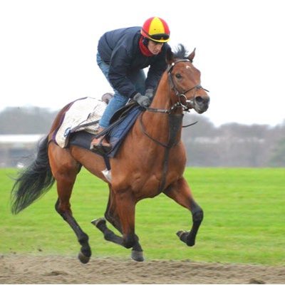 La imagen tiene un atributo ALT vacío; su nombre de archivo es 4itwtab7_400x400.jpg