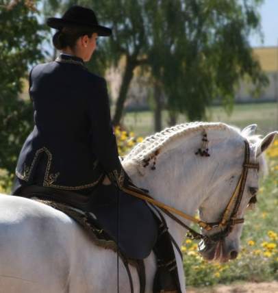 La imagen tiene un atributo ALT vacío; su nombre de archivo es unnamed-1.jpg