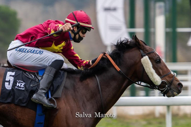 La imagen tiene un atributo ALT vacío; su nombre de archivo es unnamed.jpg