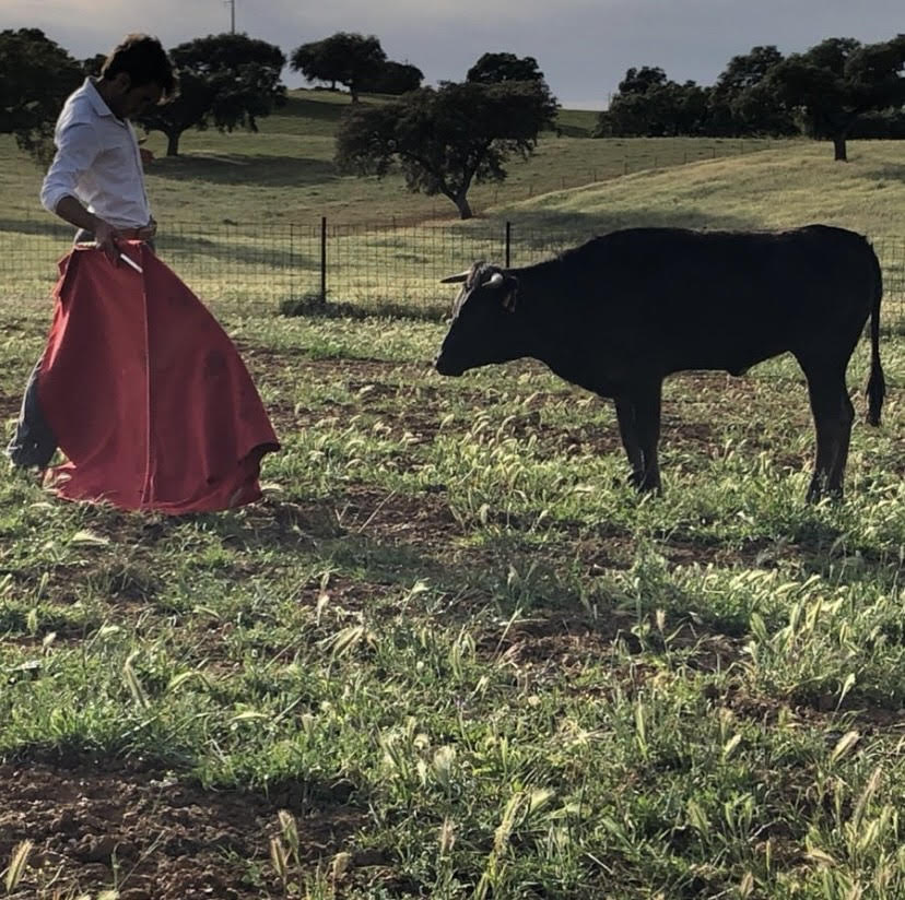 La imagen tiene un atributo ALT vacío; su nombre de archivo es unnamed-1.jpg